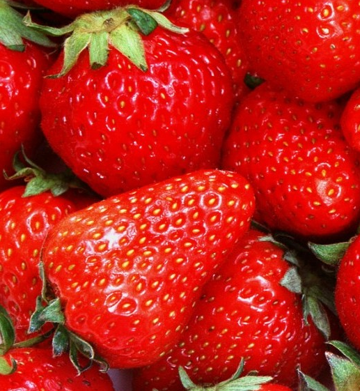 Polka szamoca